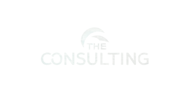 theconsulting.mx